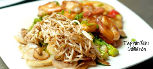 TEPPANYAKI MIXTO